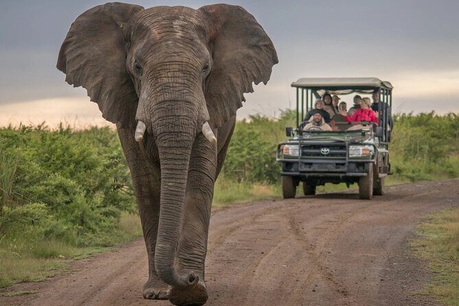 5 Day Garden Route and Addo Safari - Best of South Africa Small Group Tour - Why This Tour Works Well