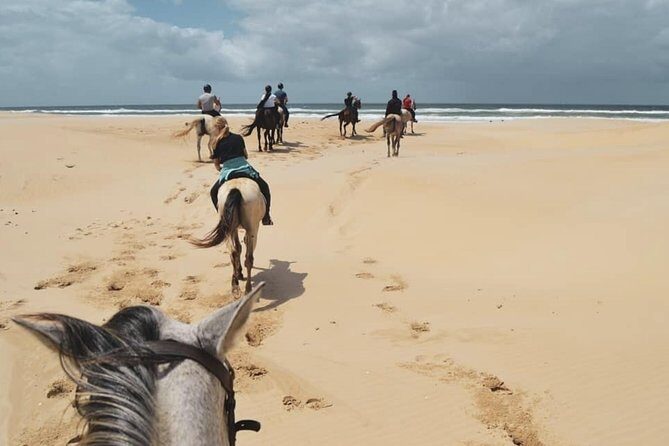5 Day Garden Route and Addo Safari - Best of South Africa Small Group Tour - Final Thoughts