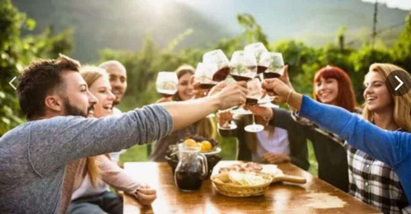 5 Day Garden Route Private Safari from Cape Town - A Complete Breakdown of the 5-Day Garden Route Safari
