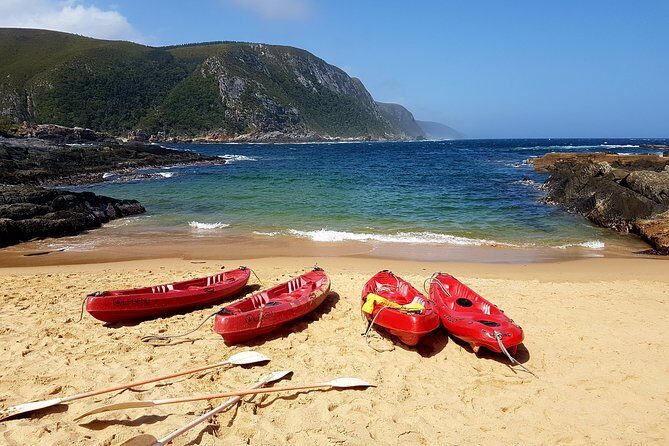5 Day Garden Route Tour - Port Elizabeth to Cape Town - Overview of the Tour Experience