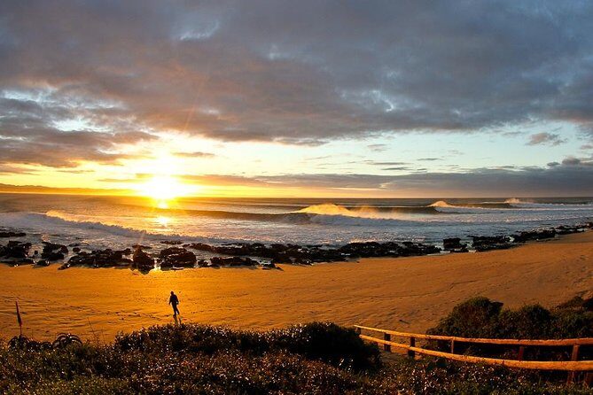 5 Day Garden Route Tour - Port Elizabeth to Cape Town - Authentic Experiences & Unique Insights from Reviews