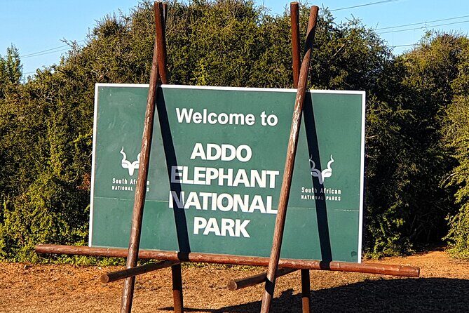 5 Day Garden Route Tour - Port Elizabeth to Cape Town - Why Choose This Tour?