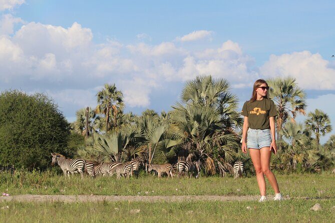 5-Day Highlights mid-Range Crater, Serengeti, Tarangire - An In-Depth Look at the Itinerary