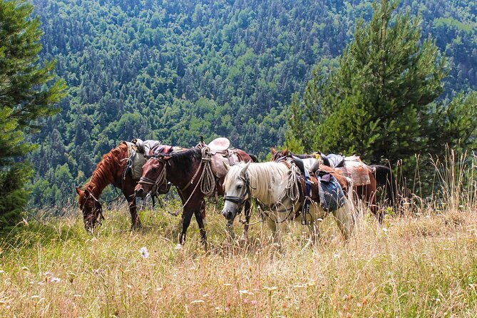 5-day-horse-riding-tour-in-caucasus