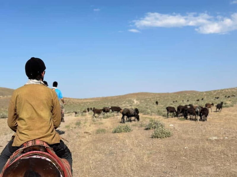 5-Day Horse Riding Tour in the Nuratau Mountains - Key Points