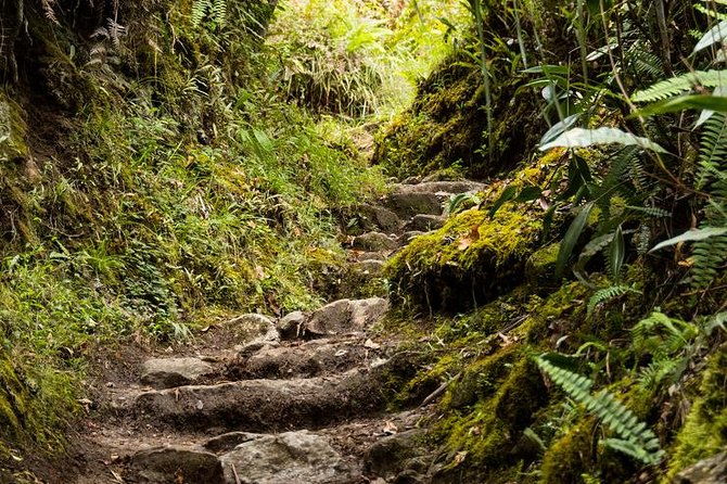 5-day-inca-trail-express-to-machu-picchu-group-service