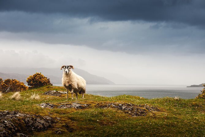 5-Day Iona, Mull and the Isle of Skye Small-Group Tour from Edinburgh - Practical Aspects and Tips