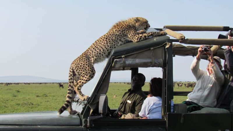 5 Day Kenya Adventure Safari Package - Key Points