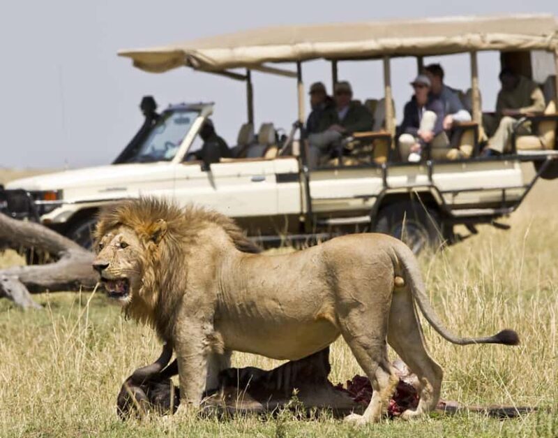 5 Day Kenya Adventure Safari Package - Practical Tips & Considerations