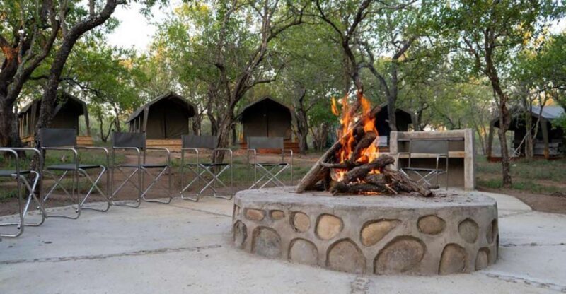 5 Day Kruger Glamping Budget Adventure - Key Points
