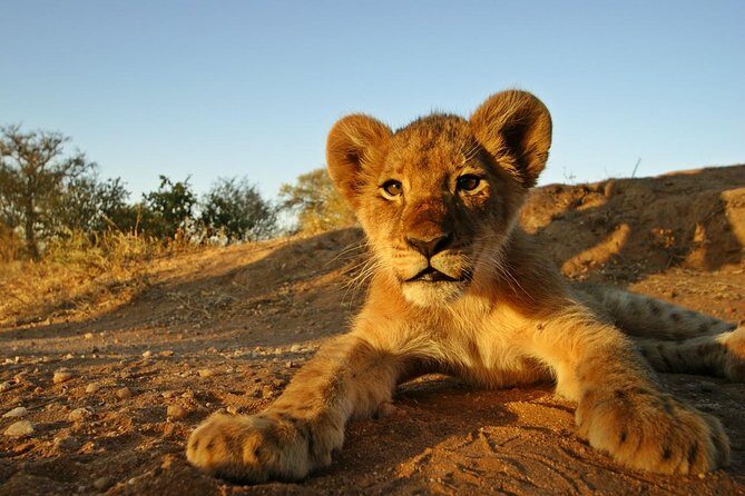5 Day Kruger National Park and Panorama Route Safari - The Sum Up