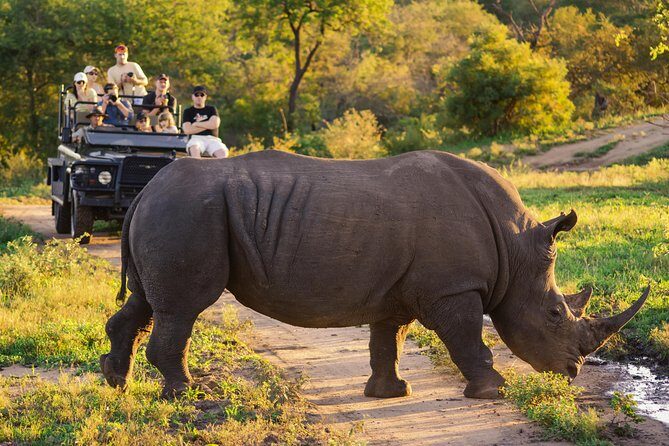 5 day-Kruger National Park Safari from Kruger Int. Airport (KMI), Panorama Route - Key Points