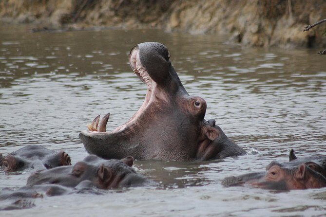 5 Day Kruger National Park tour - FAQ
