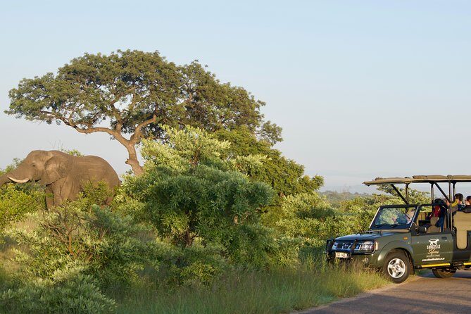 5-Day Kruger Park Safari & Panoramic Tour Combo including Breakfast and Dinner - An Overview of the Experience
