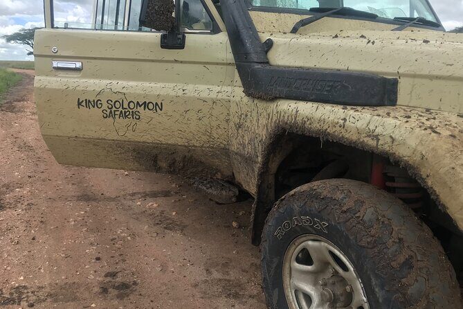 5-Day Lake Manyara, Serengeti, Ngorongoro Crater and Tarangire - Final Thoughts