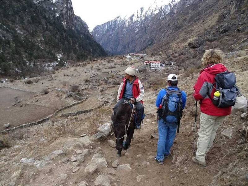 5 Day Langtang Valley Trek; Guide; Transport; permit - FAQ: Your Quick Guide to the Langtang Valley Trek