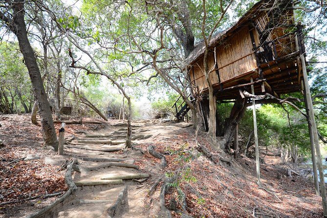 5 Day Lodge and Treehouse Kruger National Park Safari - Exploring the 5-Day Kruger Safari: What to Expect