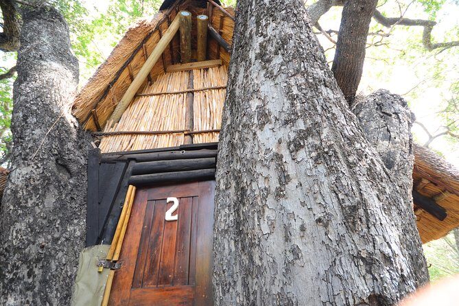 5 Day Lodge and Treehouse Kruger National Park Safari - Practical Details & Value Analysis