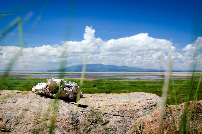 5-Day Majestic Tanzania Safari - High End All Inclusive - Key Points