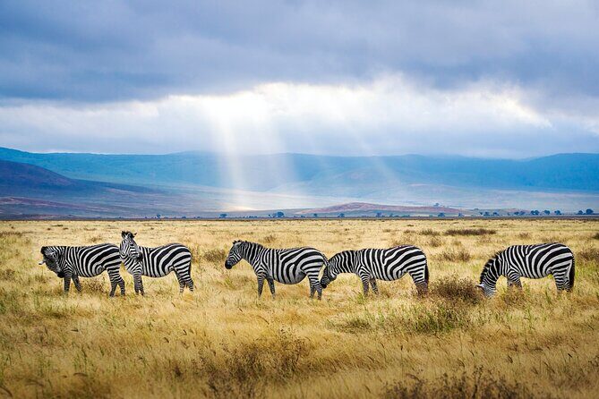 5-Day Majestic Tanzania Safari - High End All Inclusive - FAQ