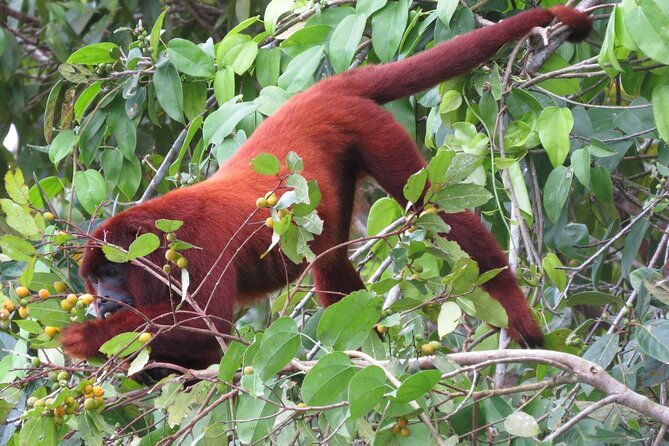 5-day-manu-expedition