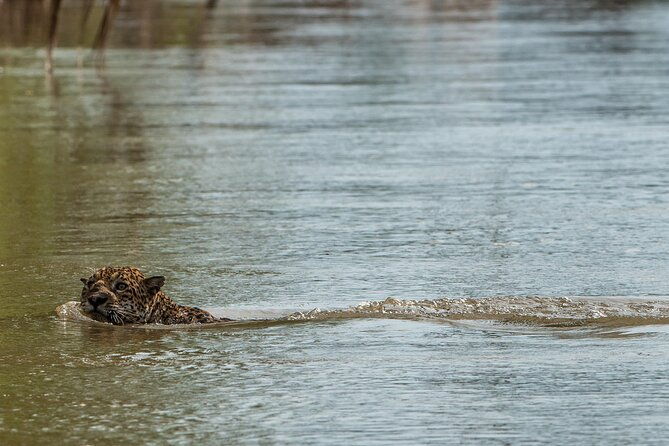 5-day-manu-expedition