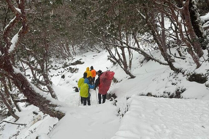 5 Day Mardi Himal Base Camp Trek in Pokhara - FAQ