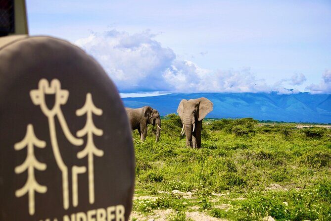 5-Day Mid-Range Safari in Tanzania - Practical Aspects & Tips