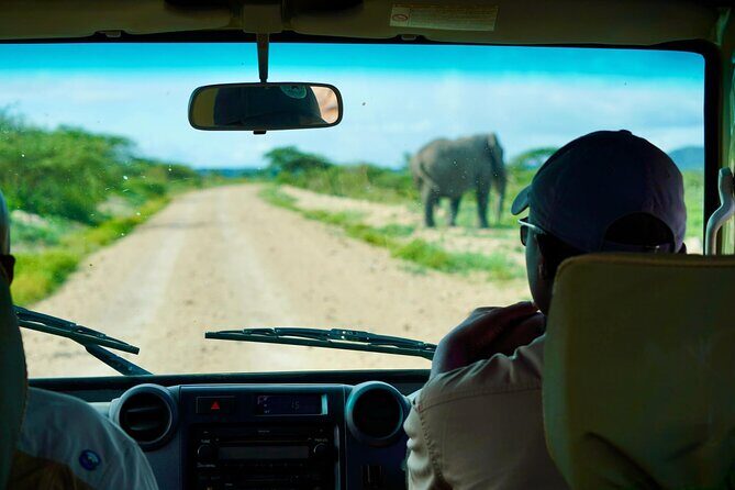5-Day Mid-Range Safari in Tanzania - Final Thoughts: Is This Safari for You?