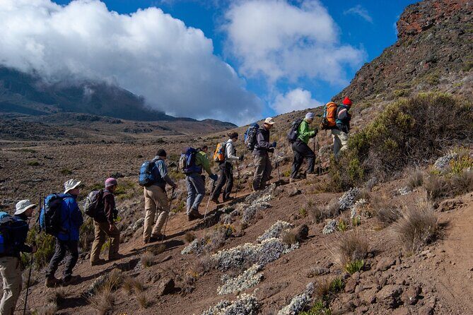 5 Day Mount Kilimanjaro Climbing via Marangu Route - An In-Depth Look at the 5-Day Marangu Route Experience