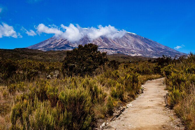 5 Day Mount Kilimanjaro Climbing via Marangu Route - FAQ