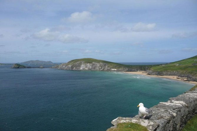 5-day-northern-ireland-and-atlantic-coast-small-group-tour-from-dublin
