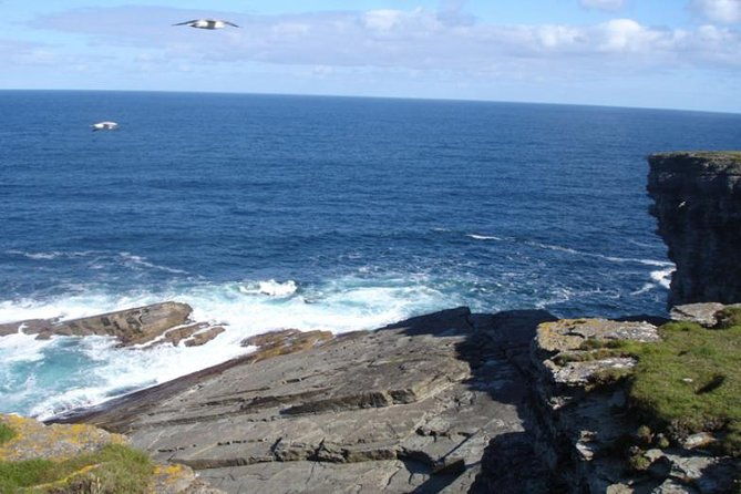 5-day-orkney-northern-coast-tour-from-edinburgh-incl-admissions