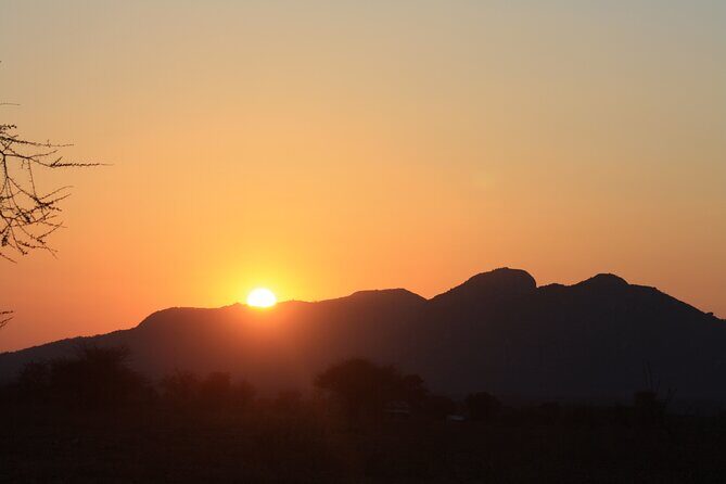 5-Day private Camping Safari Tour in Tanzania - The Itinerary: What to Expect