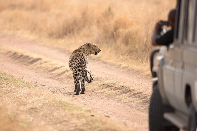 5-Day Private Camping Tour to Serengeti, Ngorongoro & Tarangire - Transportation, Camping, and Overall Value