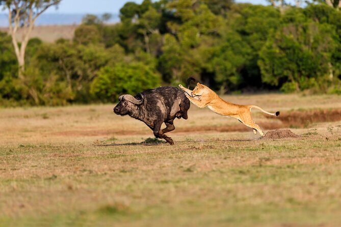 5-Day Private Camping Tour to Serengeti, Ngorongoro & Tarangire - FAQ