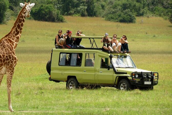 5 Day Private Guided Wildebeest Migration Tour - What Makes This Tour Stand Out?