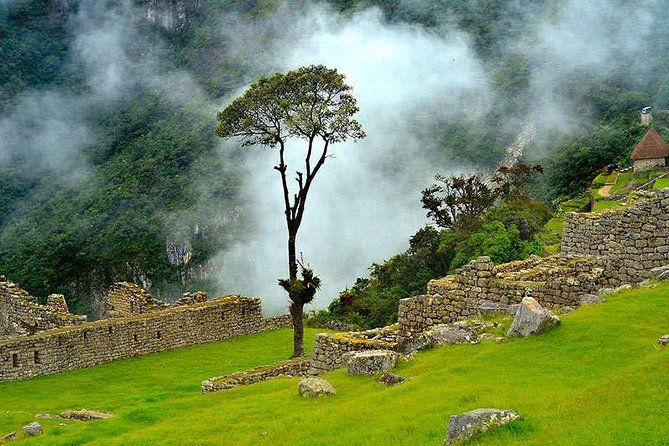 5-day-private-inca-trail-tour-to-machu-picchu
