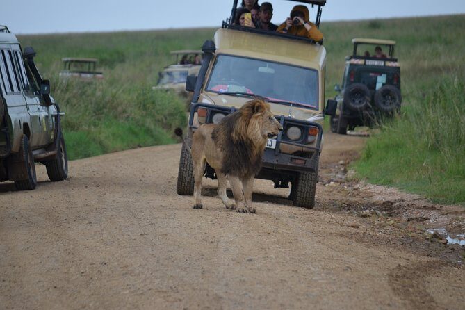 5 Day Private Lodge & Camping Tour of Tarangire, Serengeti & Ngorongoro Crater - Key Points