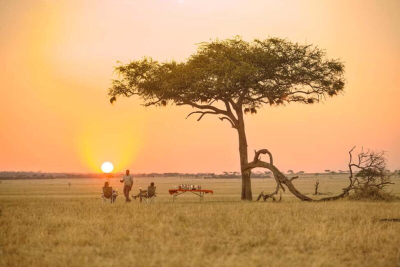 5-Day Safari Adventure in Tanzania, Journey Through Africa - Key Points