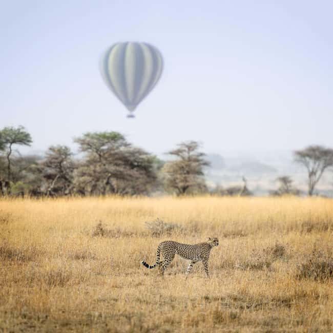 5-day Safari - What to Expect: The Practicalities