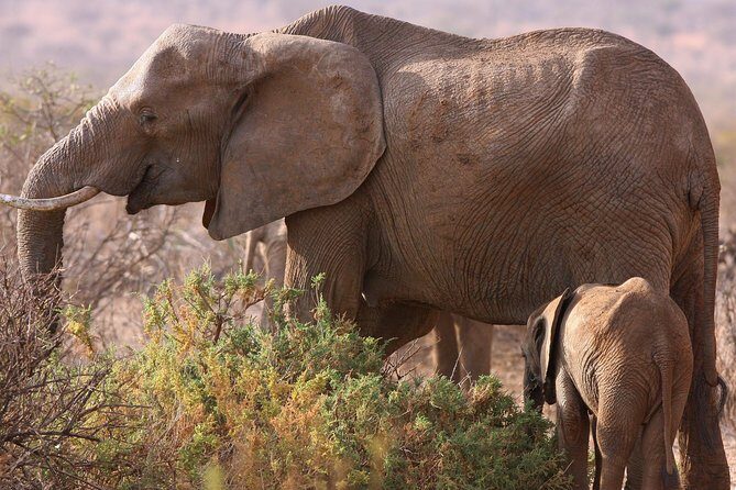 5 day safari Tarangire Serengeti and Ngorongoro crater - Key Points