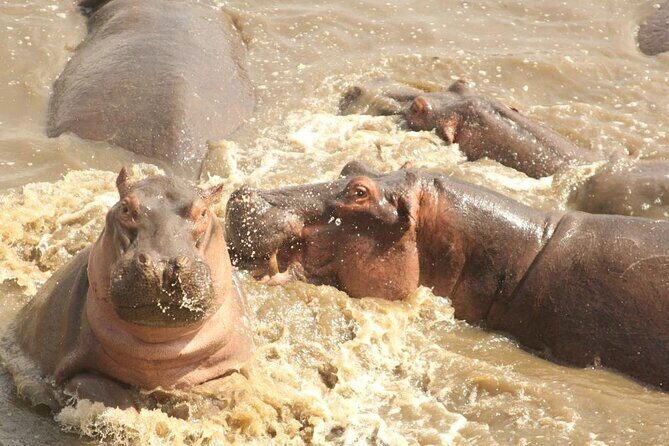5 day safari Tarangire Serengeti and Ngorongoro crater - Final Word