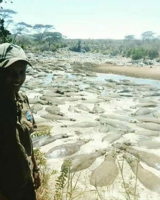 5 Day Safari Tarangire, Serengeti, Ngorongoro & Manyara Join - Introduction
