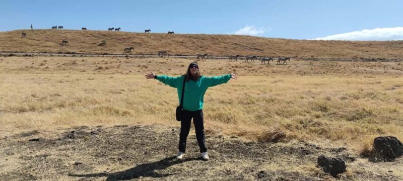 5 Day Safari Tarangire, Serengeti, Ngorongoro & Manyara Join - Day 4: Ngorongoro Crater Tour