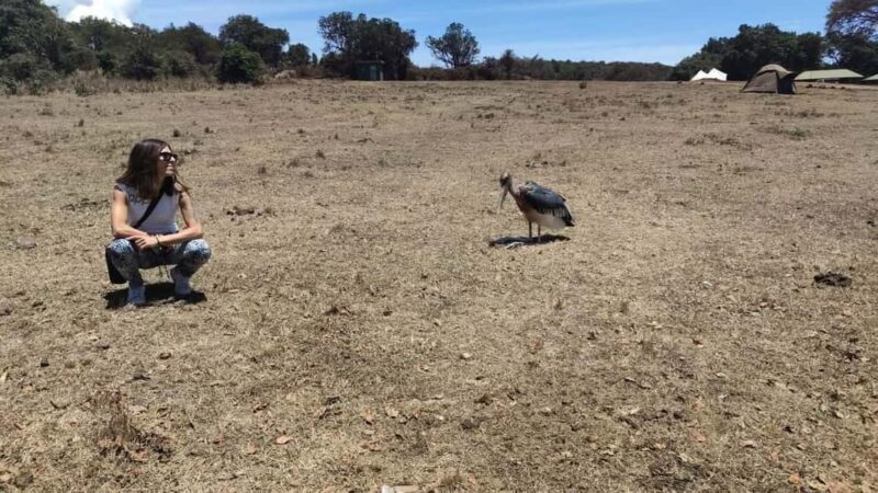 5 Day Safari Tarangire, Serengeti, Ngorongoro & Manyara Join - Final Thoughts