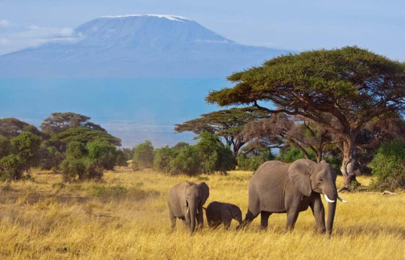 5-Day Safari to Amboseli, Tsavo West,Taita & Tsavo East - Day 3: Tsavo West to Taita Hills Sanctuary