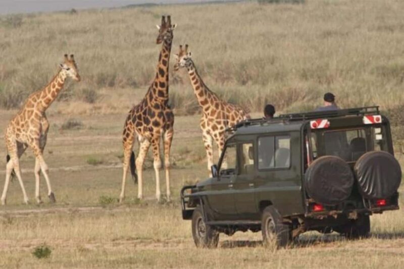 5-Day Safari to Amboseli, Tsavo West,Taita & Tsavo East - Day 5: Tsavo East to Mombasa or Coastal Destinations