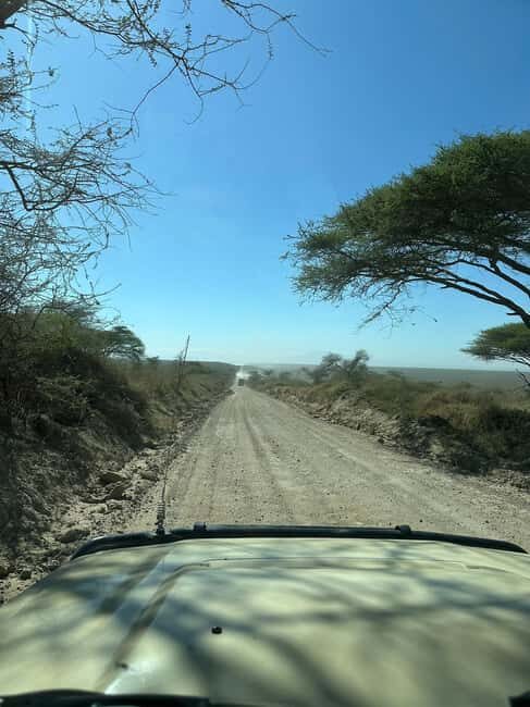 5-Day Safari to Remember into the Wilderness - Key Points