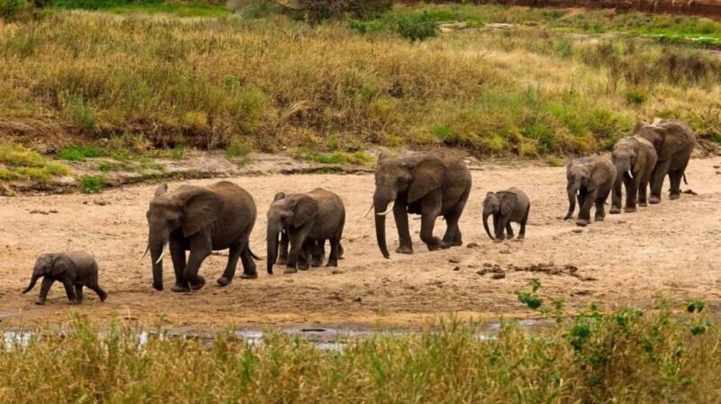 5-Day Safari to Tarangire, Serengeti, and Ngorongoro crater - Key Points